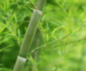 Doğal Sağlıklı Bambu Çorap