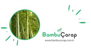 Sağlıklı ve Doğal Bambu Çoraplar